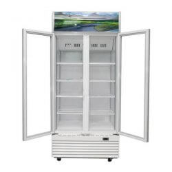 Tủ mát SANAKY 2 cánh mở 2 bên VH-8009HP